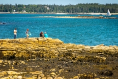 Low Tide at Seawall